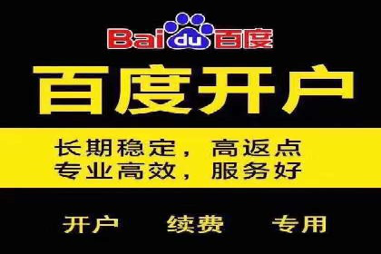 百度竞价推广托管的成功案例：从零到一的突破
